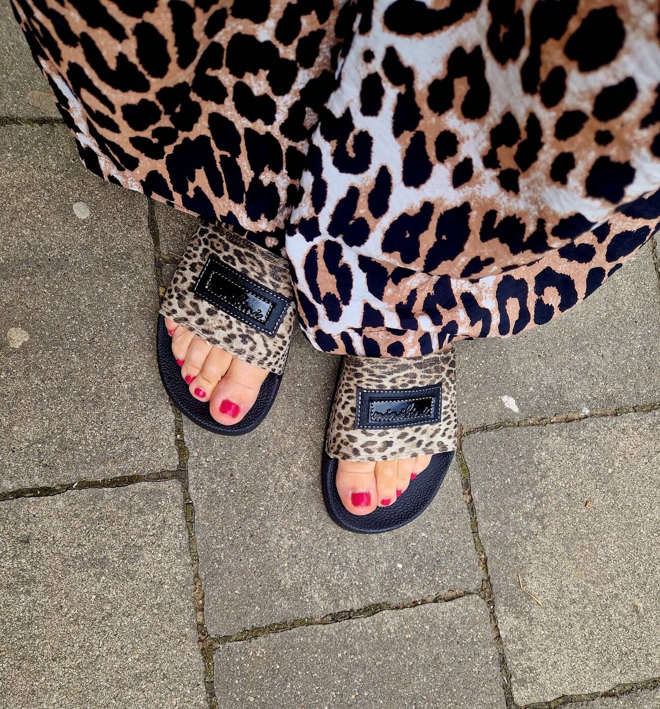 leopard